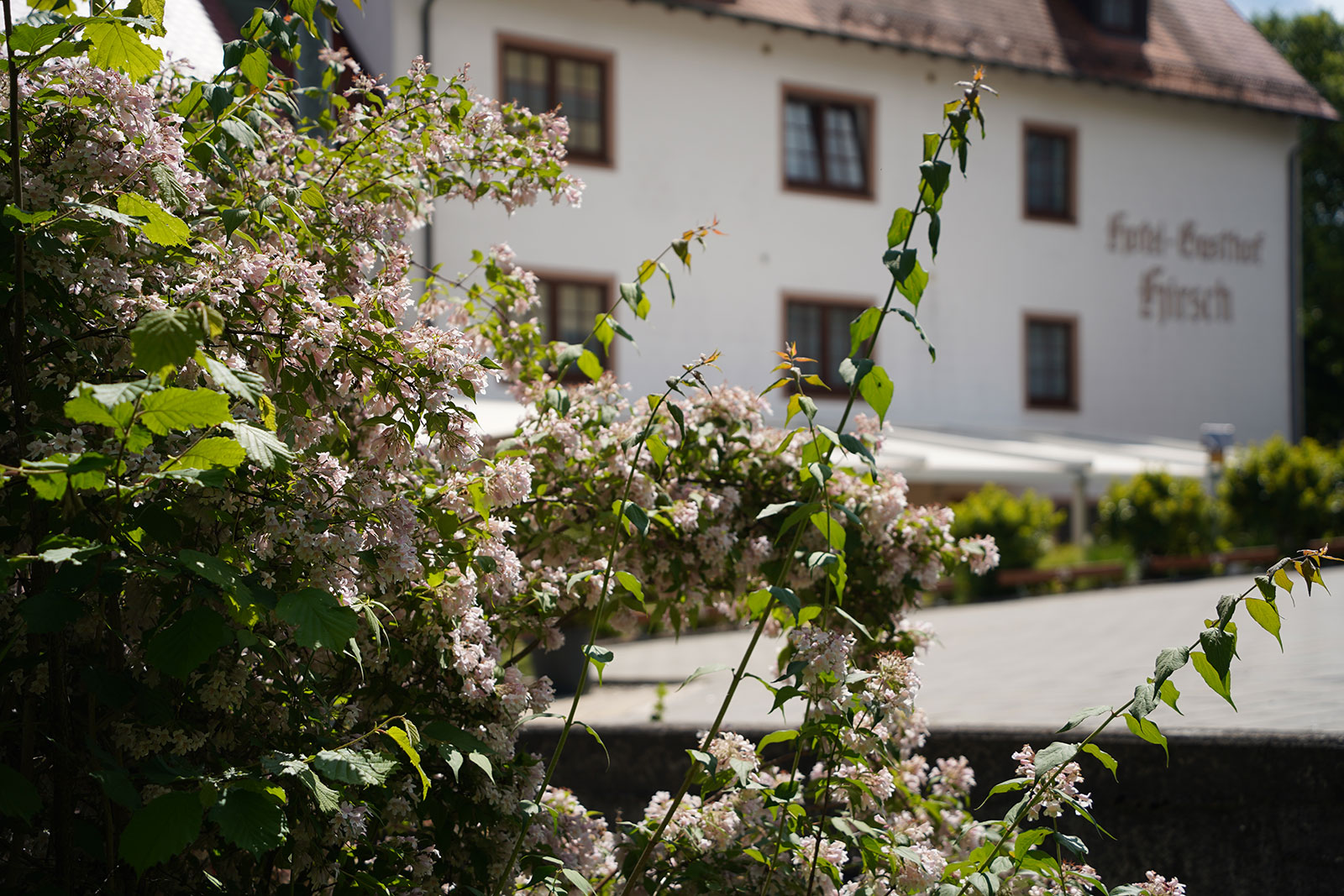 (c) Hotel-hirsch-ehingen.de